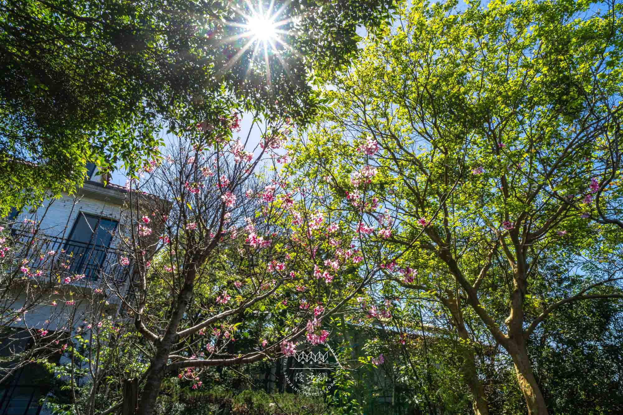 莫內花園渡假城堡的民宿照片